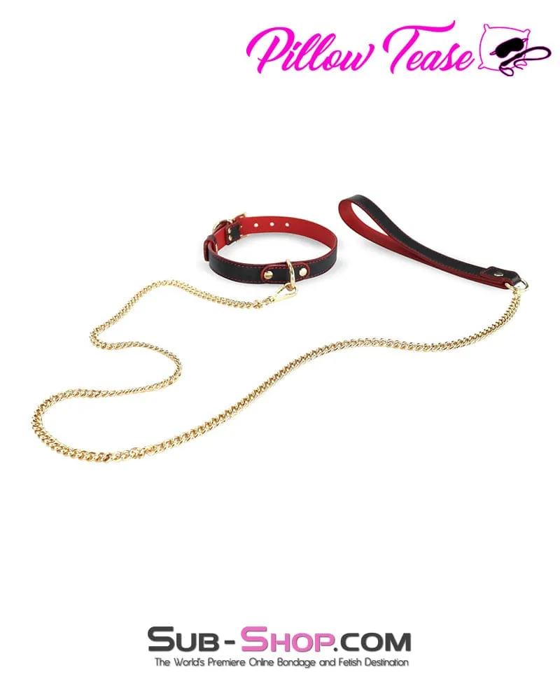 1662DL      Black and Red Slimline Collar with Gold Hardware and Leash