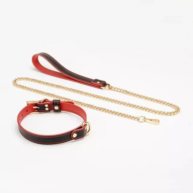 1662DL      Black and Red Slimline Collar with Gold Hardware and Leash