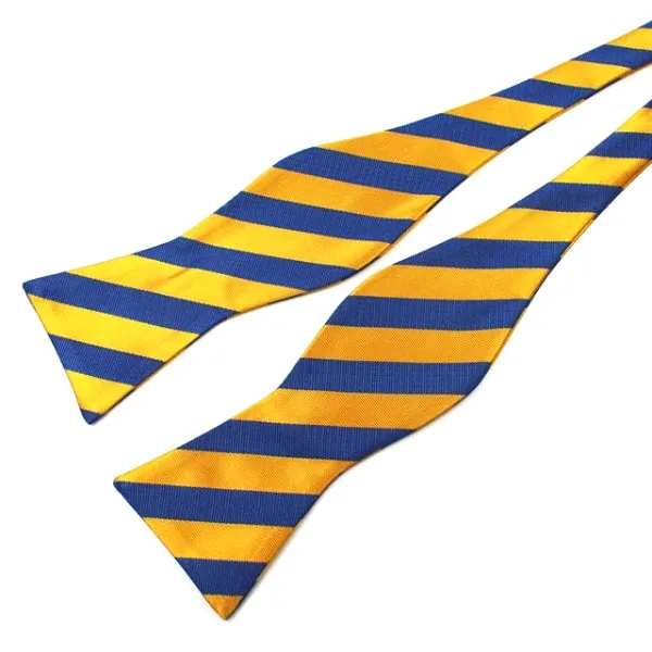 Classy Men Blue Yellow Silk Self-Tie Bow Tie