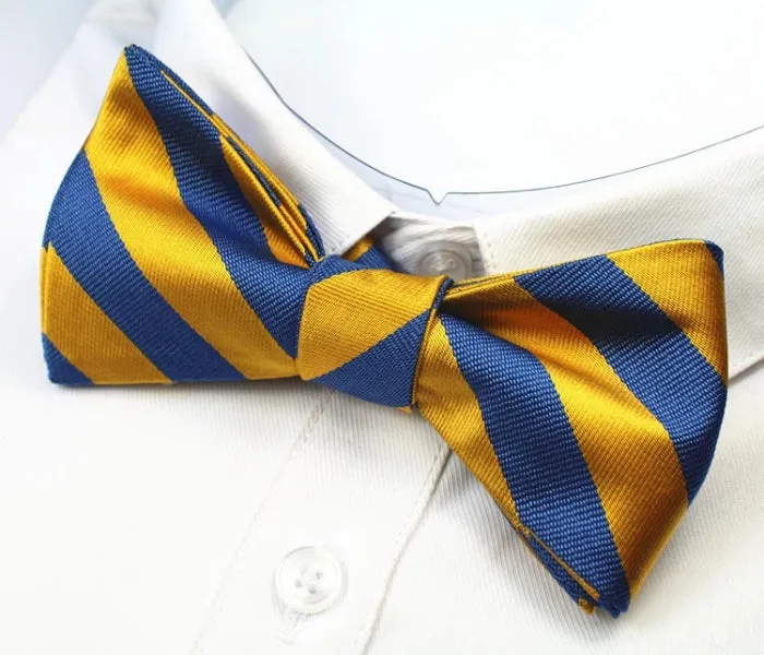 Classy Men Blue Yellow Silk Self-Tie Bow Tie